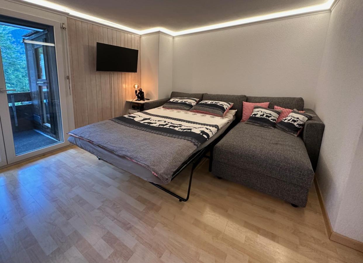 Chalet Ribi Grindelwald Dış mekan fotoğraf