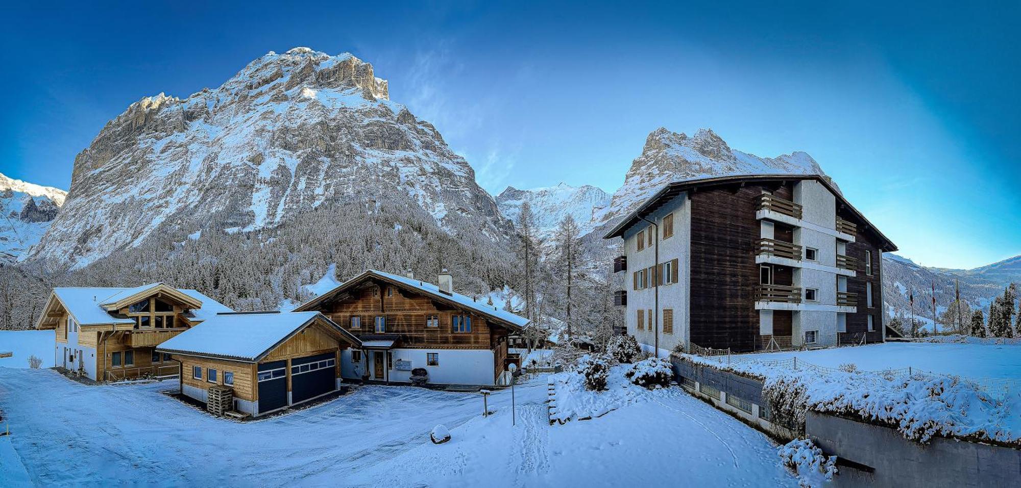 Chalet Ribi Grindelwald Dış mekan fotoğraf