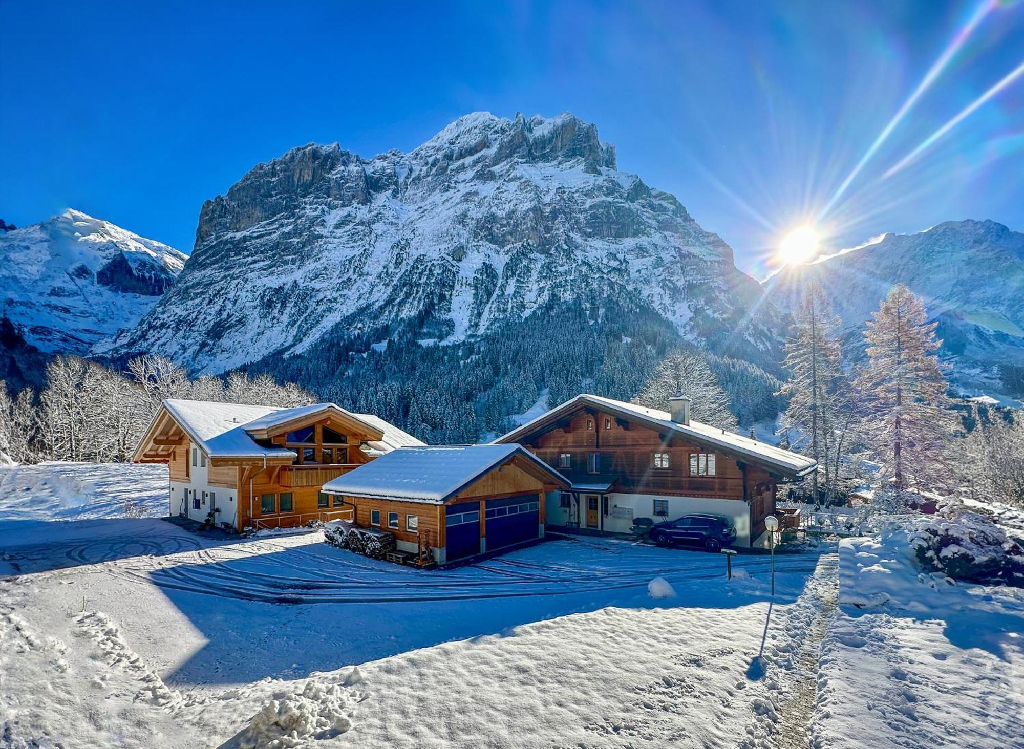 Chalet Ribi Grindelwald Dış mekan fotoğraf