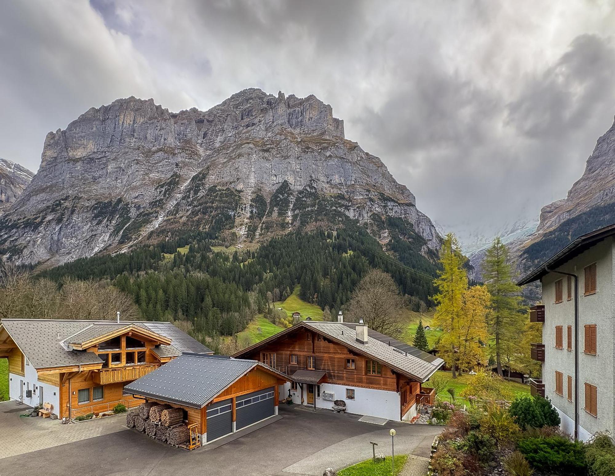 Chalet Ribi Grindelwald Dış mekan fotoğraf